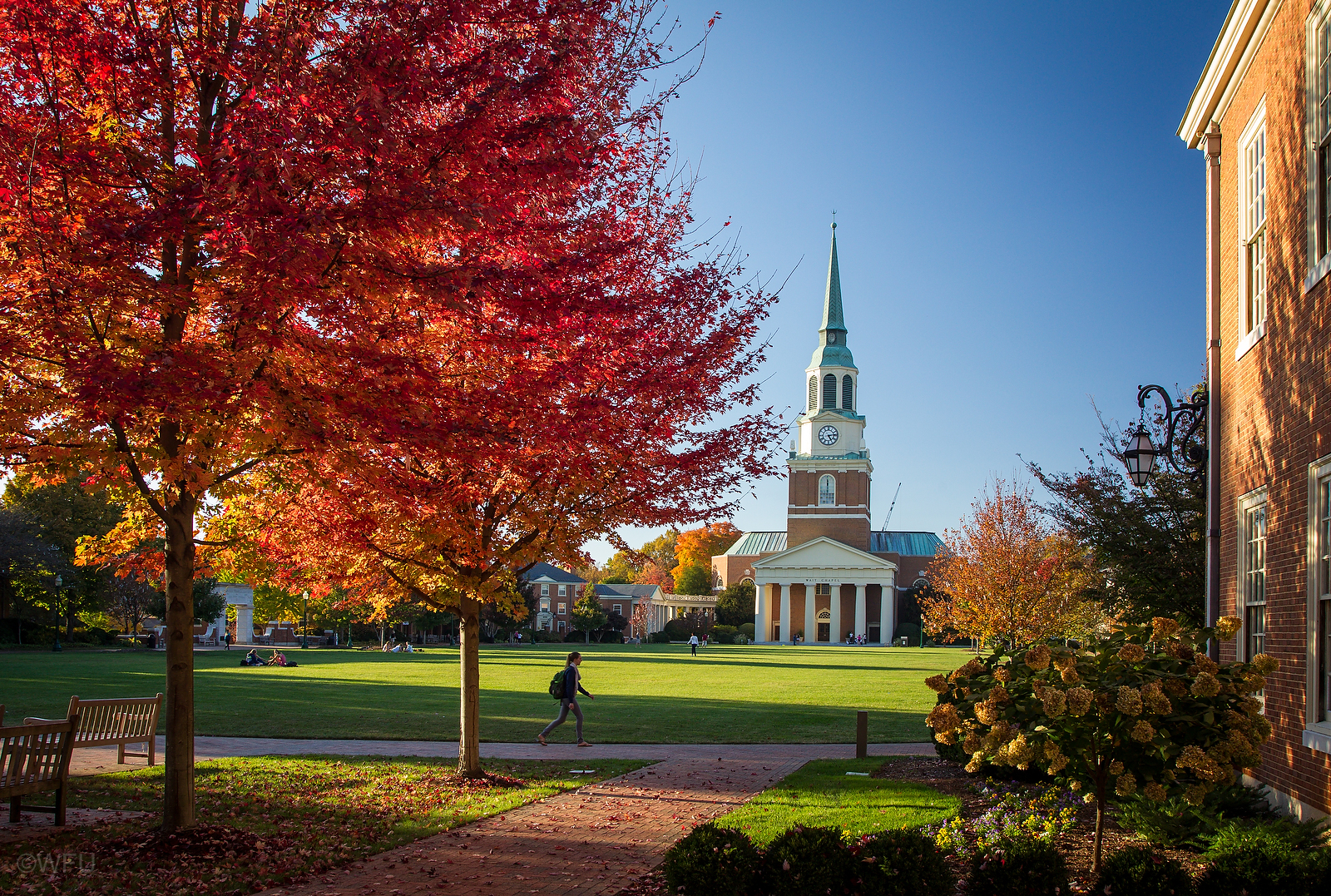 Wake Forest University