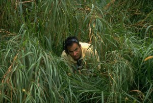 1997 Doral Ryder Open: CBS announcer David Feherty alone, looking through tall grass during second round.  Image: Jacqueline Duvoisin