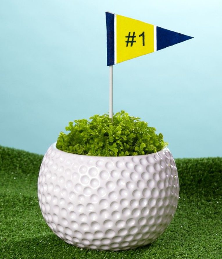 Golf Ball Planters: Mini Green Spaces in Hollowed-Out Balls