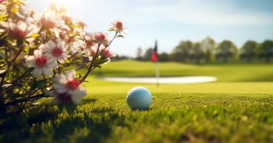 Preparing Your Golf Equipment - feature image of a golf ball on the golf course