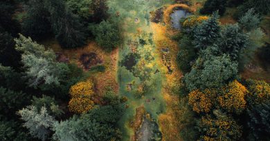 Lost Golf Courses: Forgotten Fairways and Where They Are Now Lost Golf Courses: Forgotten Fairways and Where They Are Now