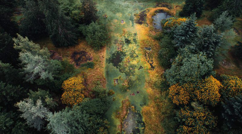 lost golf courses - feature image - forgoten overgrown golf course drone image