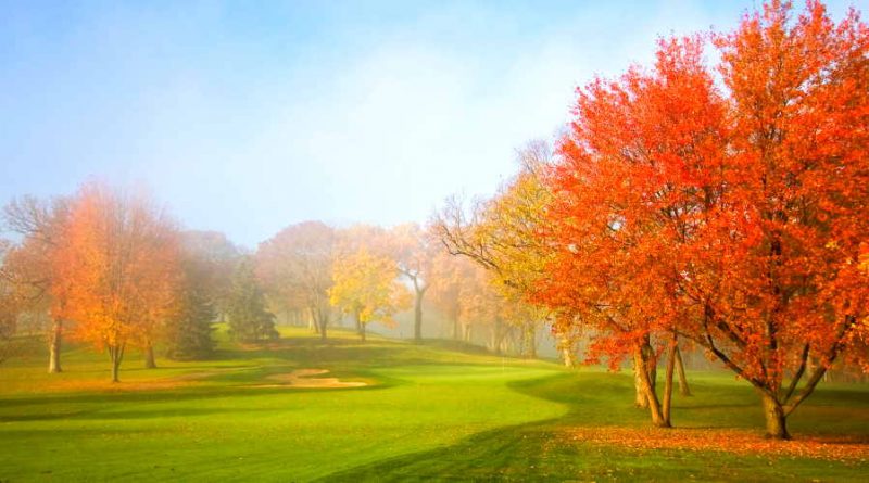 fall golf course image