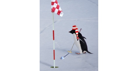 winter-golf