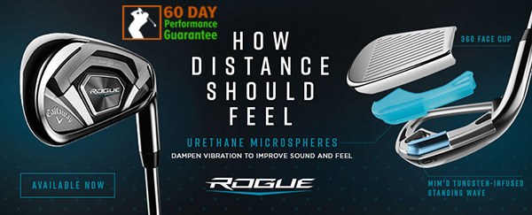 Rogue Irons banner image